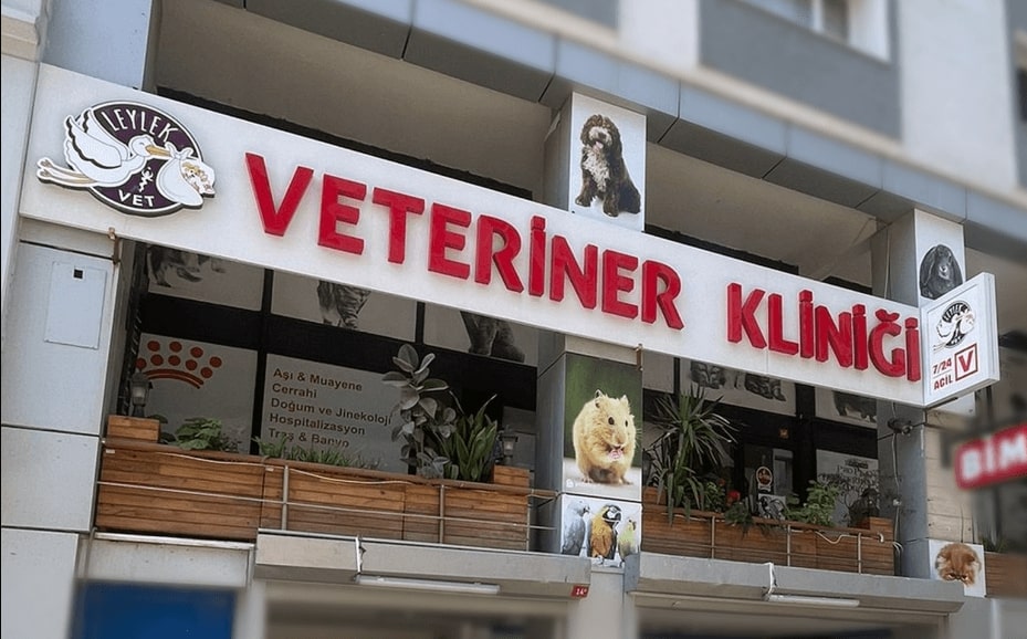 Veteriner Klinik İsimleri