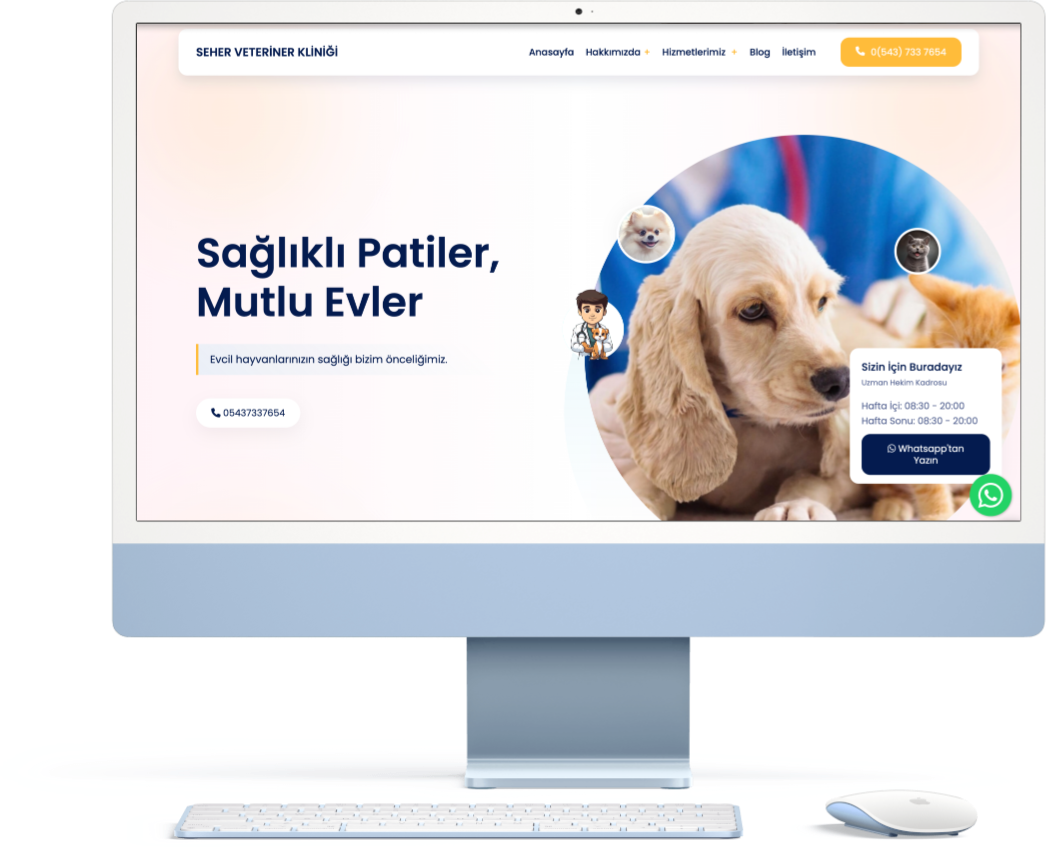 Hazır Web Sitesi
