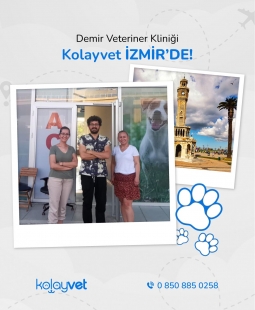 Demir Veteriner Kliniği
