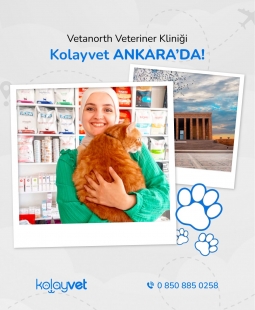 Ankara Vetanorth Veteriner Kliniği