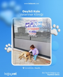 Geyikli Kale Veteriner Kliniği