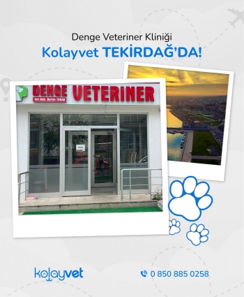 Denge Veteriner Kliniği