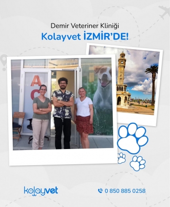 Demir Veteriner Kliniği