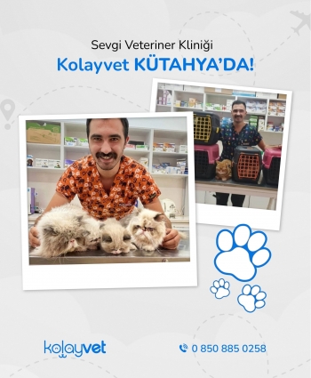 Sevgi Veteriner Kliniği