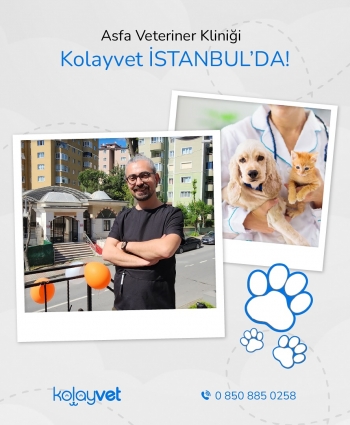 Asfa Veteriner Kliniği