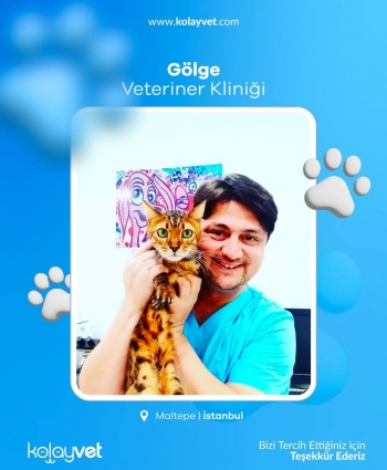 Gölge Veteriner Kliniği