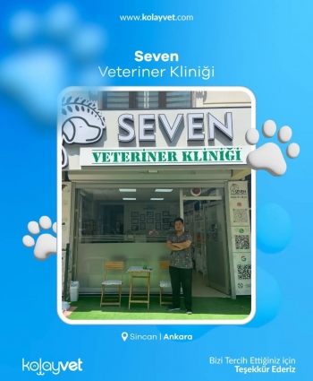 Seven Veteriner Kliniği
