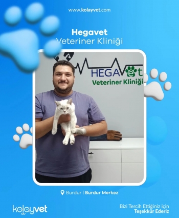 Hegavet Veteriner Kliniği