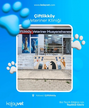 Çiftlikköy Veteriner Kliniği