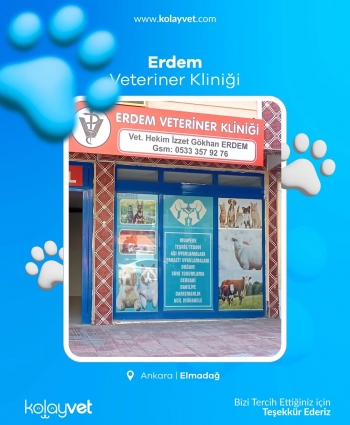 Erdem Veteriner Kliniği