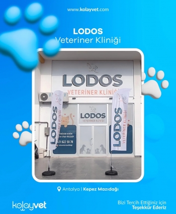 Lodos Veteriner Kliniği