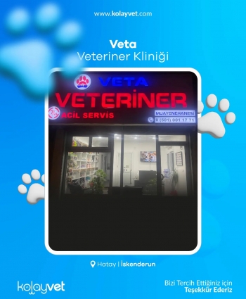 Veta Veteriner Kliniği